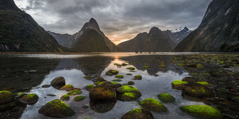 New Zealand